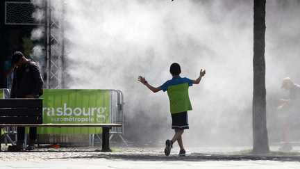 Canicule : 28 départements maintenus en vigilance orange, près de 5 000 foyers privés d'éléctricité à Avignon