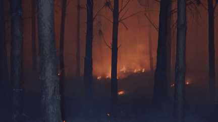 Dans les Landes au cœur de l'incendie de Luglon, qui a déjà parcouru 1 700 hectares