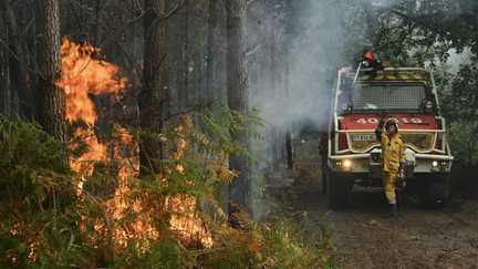 Incendie dans les Landes : le feu est