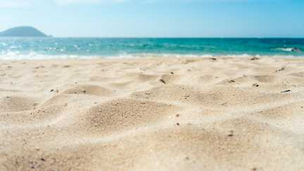 Sous nos serviettes de plage, une véritable guerre entre bactéries