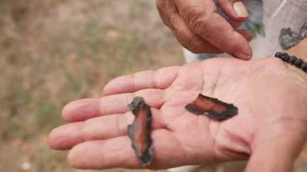 Incendie dans les Landes : à Luglon, les habitants retrouvent leurs maisons après l'évacuation