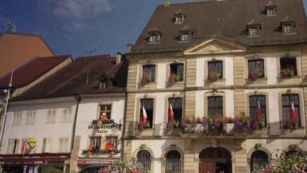 Sécheresse : en Alsace, les villes fleuries s'adaptent au manque d'eau