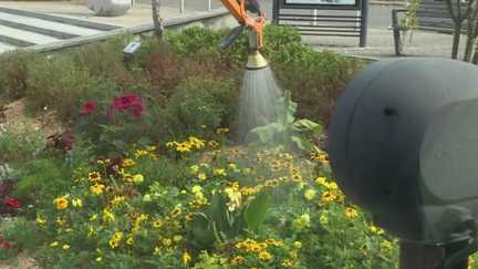La commune jurassienne de Champagnole a trouvé la solution pour garder ses espaces verts irrigués en respectant les restrictions d'eau