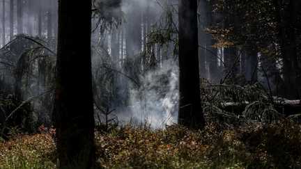 En Belgique, l'incendie des Hautes Fagnes est