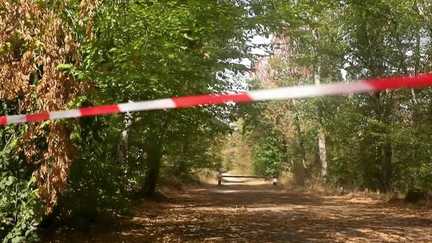 La réouverture de la forêt de Fontainebleau très attendue : le calendrier dévoilé ce vendredi après-midi