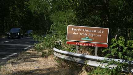 REPORTAGE.