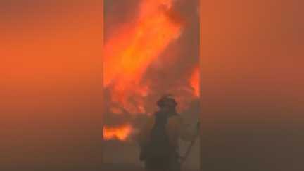 Nevada : plus de 40.000 évacués face à un feu de forêt