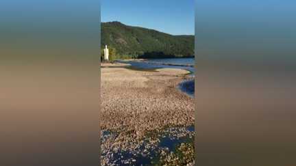 Le Rhin bientôt à sec ?