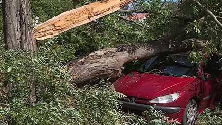 Arbres arrachés, toitures emportées, coupures de courant... Le Sud-Est a été balayé par d'importants orages