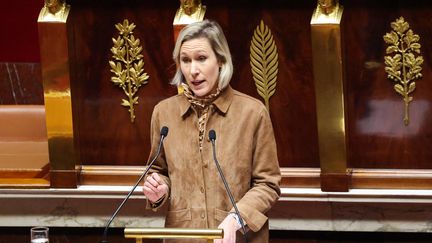 Réseaux sociaux : la députée Laure Miller salue