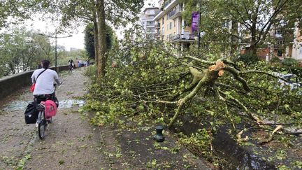 Météo-France maintient 23 départements en vigilance orange aux orages alors que les intempéries se déplacent vers l'est