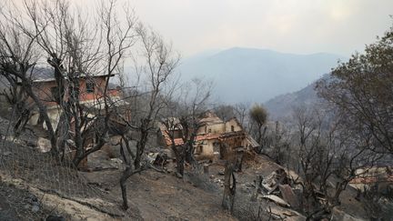 Le président algérien veut faire appliquer la peine de mort contre les pyromanes, après les incendies meurtriers qui ont ravagé l'est et le nord du pays