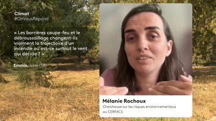 Contre les incendies de forêt, le débroussaillage est-il vraiment efficace ? OnVousRépond Climat