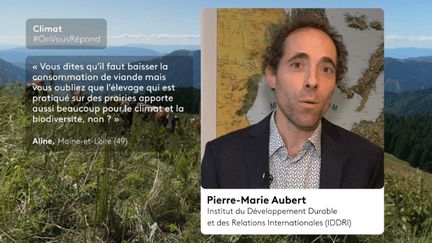 Faut-il réellement moins manger de viande, y compris lorsqu’il s’agit de vaches élevées à l’ancienne sur des prairies naturelles ? OnVousRépond Climat