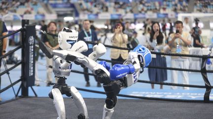 L’IA doit encore progresser pour que les robots humanoïdes deviennent vraiment utiles