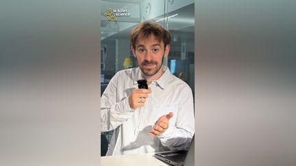 La spirale secrète des bébés serpents
