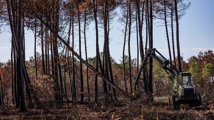Incendie de Saumos : la Région Nouvelle-Aquitaine a présenté un plan d'action de 10,5 millions d'euros