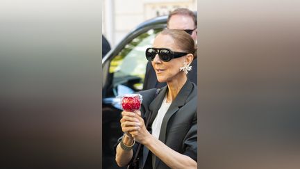 Un père de famille belge verse 10 000 euros à une fausse Céline Dion