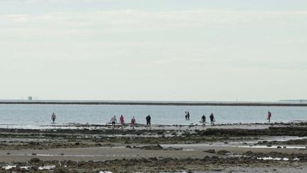 Île de Ré : face au projet du Conservatoire du Littoral, des propriétaires se mobilisent contre l'expropriation