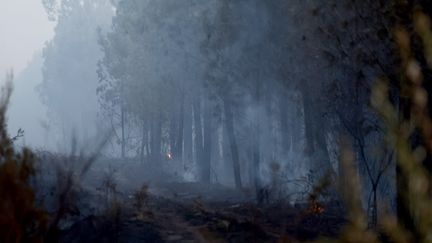 Le feu dans les Landes est