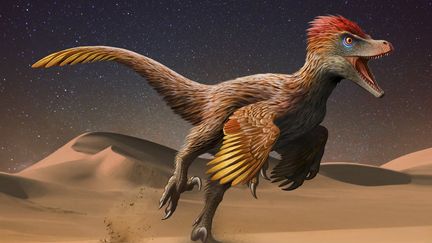 Pourquoi les oiseaux ont survécu