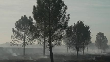 Dans les Landes, la grosse frayeur des habitants après un nouvel incendie