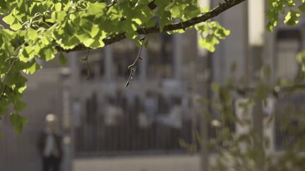 Un mineur de 15 ans arrêté après un projet d’attaque dans un lycée de Lyon