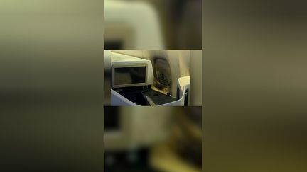 Une batterie externe prend feu en plein vol