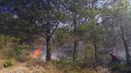 Incendies en septembre : les feux de forêt persistent en France