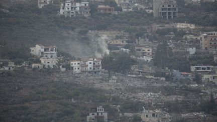 Plainte à Paris visant l'armée israélienne après l'arrachage d'oliviers centenaires dans le sud du Liban
