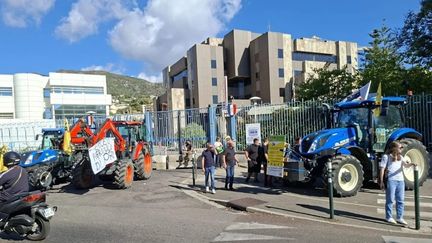 Des centaines d'agriculteurs manifestent en Corse pour réclamer des aides face à la sécheresse