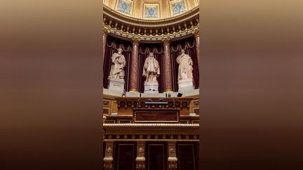 Élections sénatoriales : le RN constitue un groupe, LFI fait son entrée