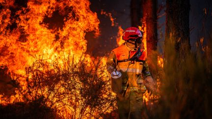 La facture des incendies de cet été s'élève à 11 millions d'euros pour le conseil départemental de la Gironde qui demande une aide exceptionnelle