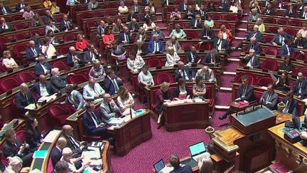 Élections sénatoriales : le RN fait une percée au Sénat