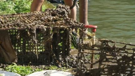 Du repêchage à la revalorisation, une association débarrasse la Saône de ses déchets