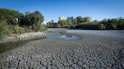 De la Corse au Sud-Ouest en passant par la Lorraine, la France subit un déficit de pluie