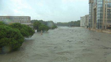 À Montpellier, le fleuve Lez est sous surveillance après être sorti de son lit