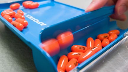 Les mini-usines à médicaments dans l’espace deviennent la nouvelle ambition de l’industrie pharmaceutique
