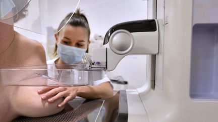 Le nombre d'inscrits et de diplômés dans les formations aux métiers du paramédical a légèrement augmenté en 2025 par rapport à 2024