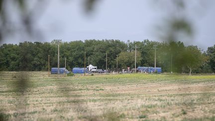 Affaire Jubillar : des ossements retrouvés lors des nouvelles fouilles