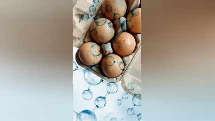 Nos œufs contaminés aux polluants éternels