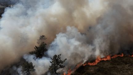 Finistère : un incendie se déclenche à Saint-Nic relativement tard dans la saison