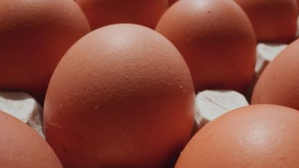 Œufs contaminés aux PFAS : comment expliquer les résultats édifiants de l'enquête d'ICI et de la cellule investigation de Radio France ?