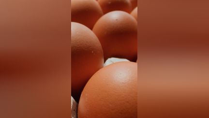 Des polluants éternels dans les œufs