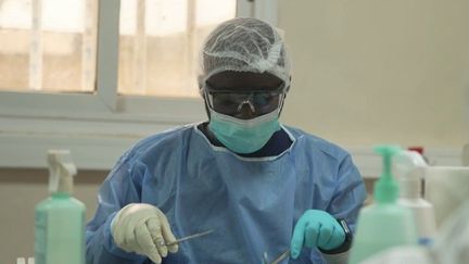 Au Sénégal, des chercheurs de l'Institut Pasteur traquent les hantavirus, qui ont fait trois morts au printemps dernier