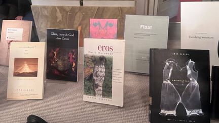 Découvrez Anne Carson, la lauréate du prix Nobel de littérature, en six œuvres majeures