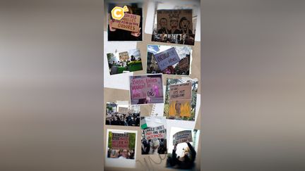 Les meilleurs pancartes du mouvement lycéen
