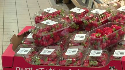 Les fraises jouent les prolongations en octobre sur les étals des marchés