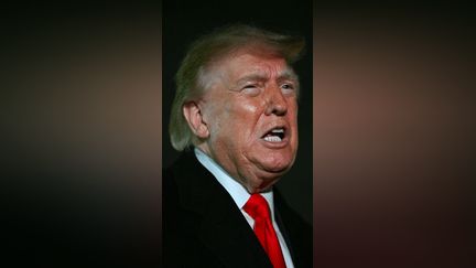 Guerre en Ukraine : Donald Trump annonce une trêve énergétique, Volodymyr Zelensky dément