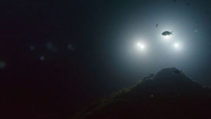 Chronique science : Les fonds marins, nouvel eldorado des Américains